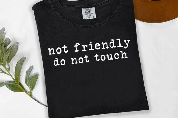 Not Friendly Do Touch Graphic Tee product image 2