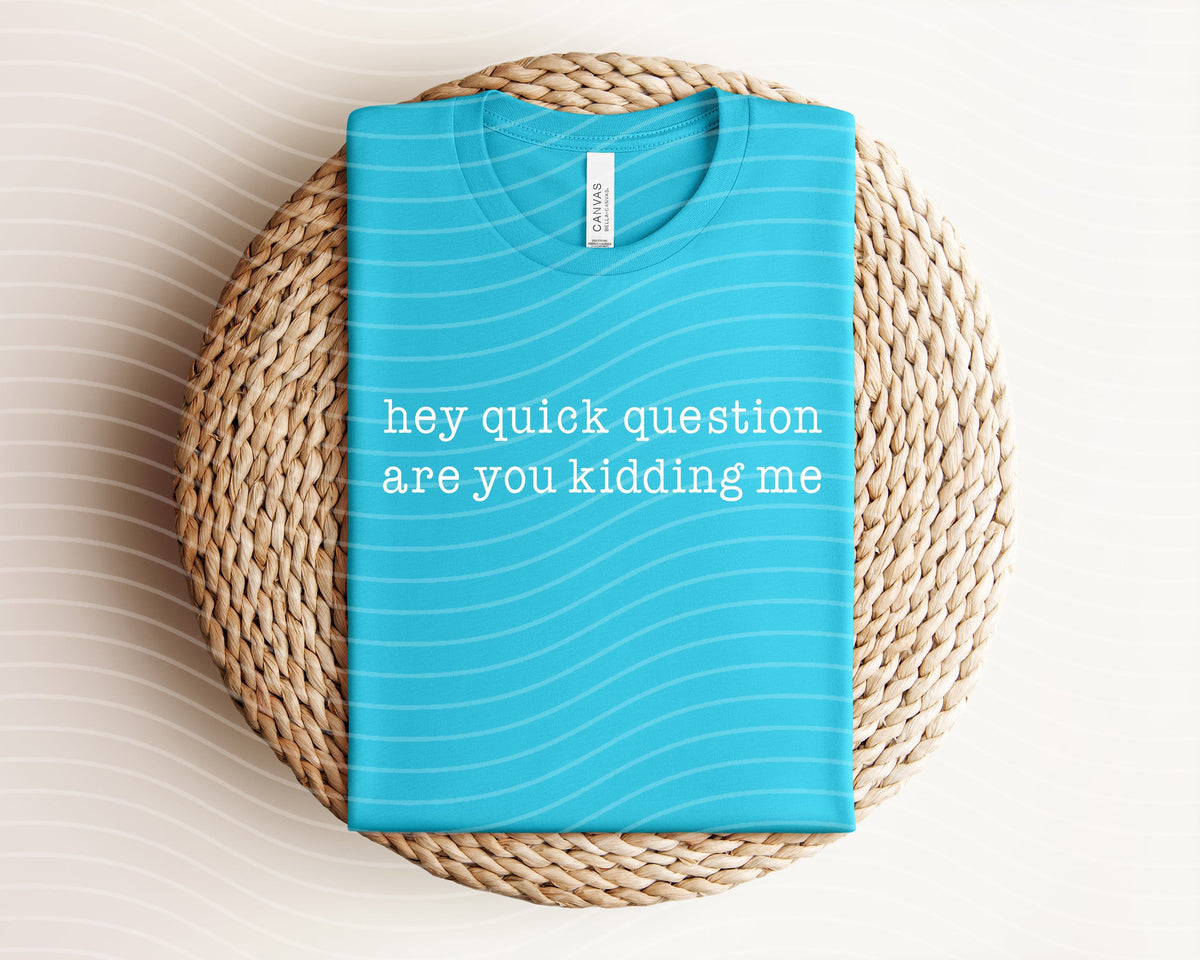 Hey Quick Question Graphic Tee product image 1