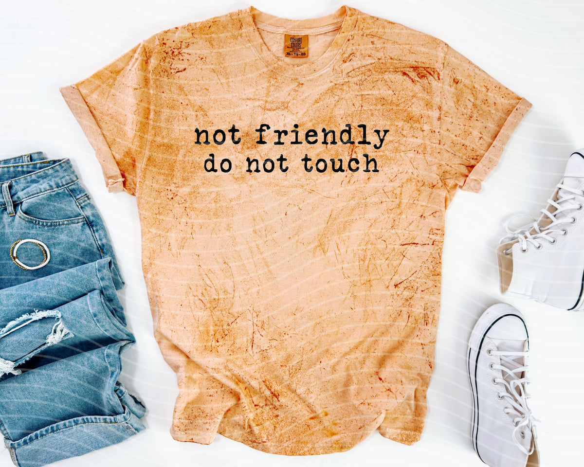 Not Friendly Do Touch Graphic Tee product image 1