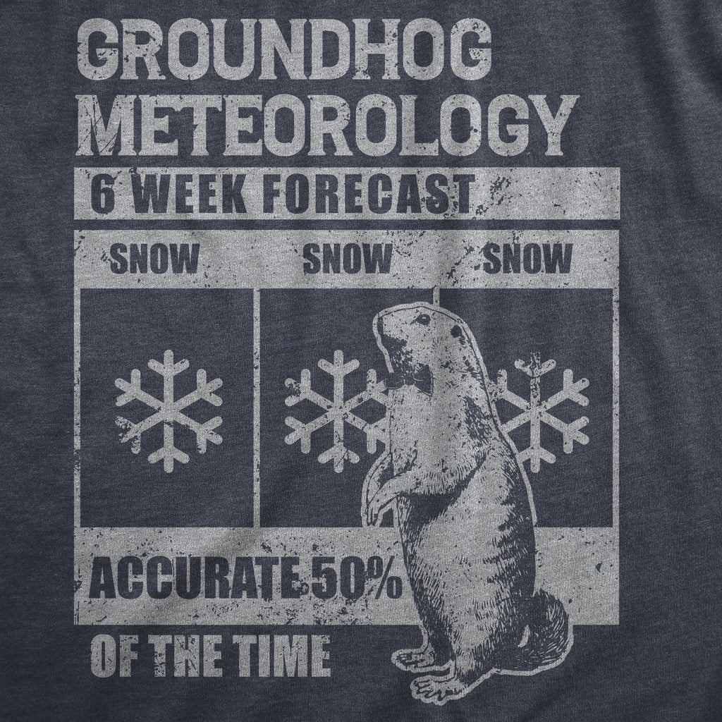 Groundhog Meteorology Men's T Shirt product image 3