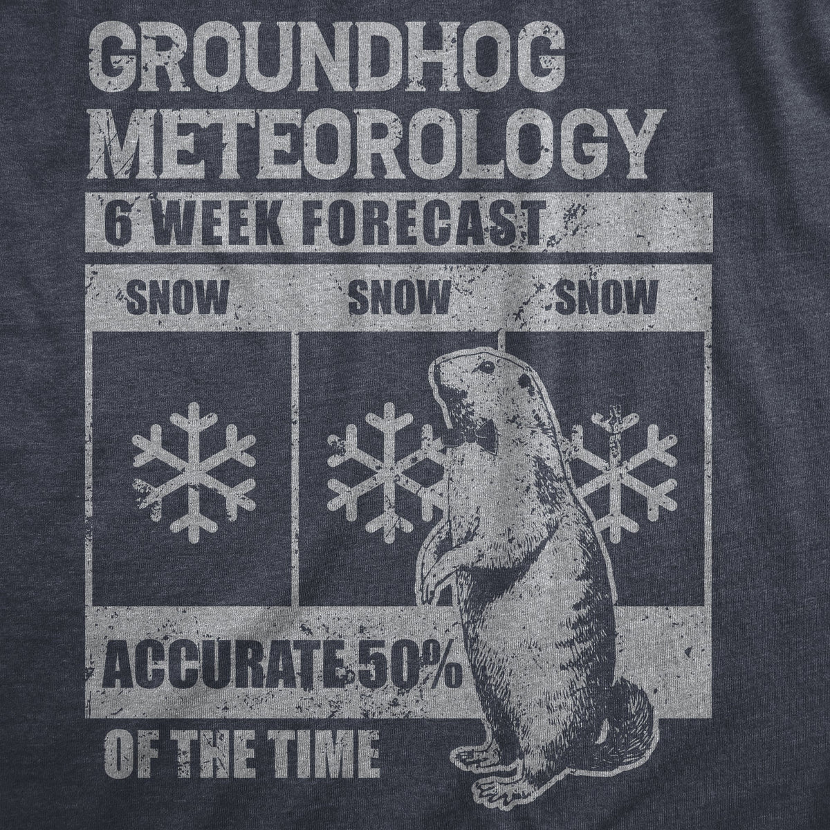 Groundhog Meteorology Men's T Shirt product image 3