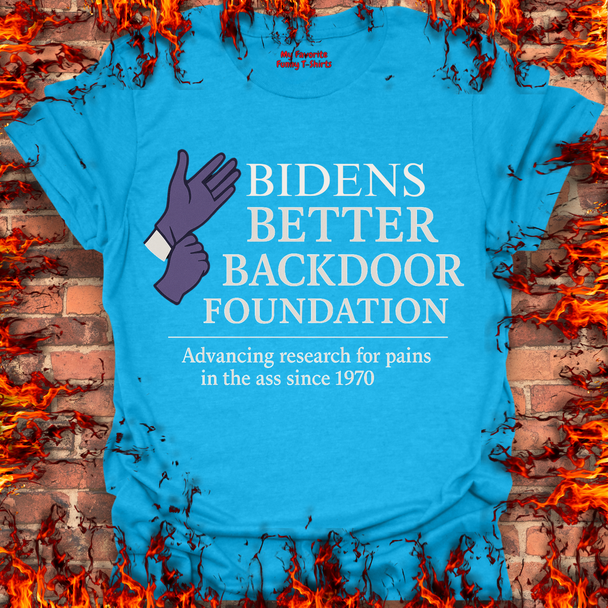 Biden's Better Backdoor Foundation product image 10