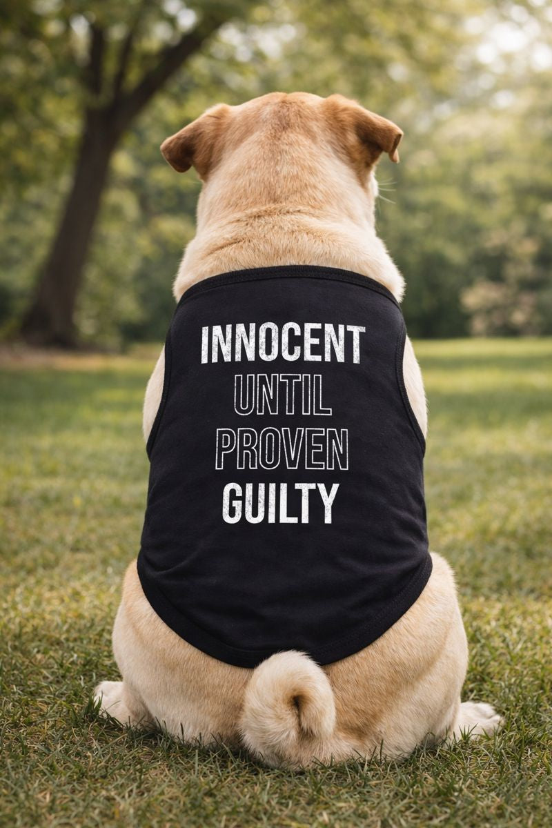 Innocent Until Proven Guilty Dog Shirt product image 2